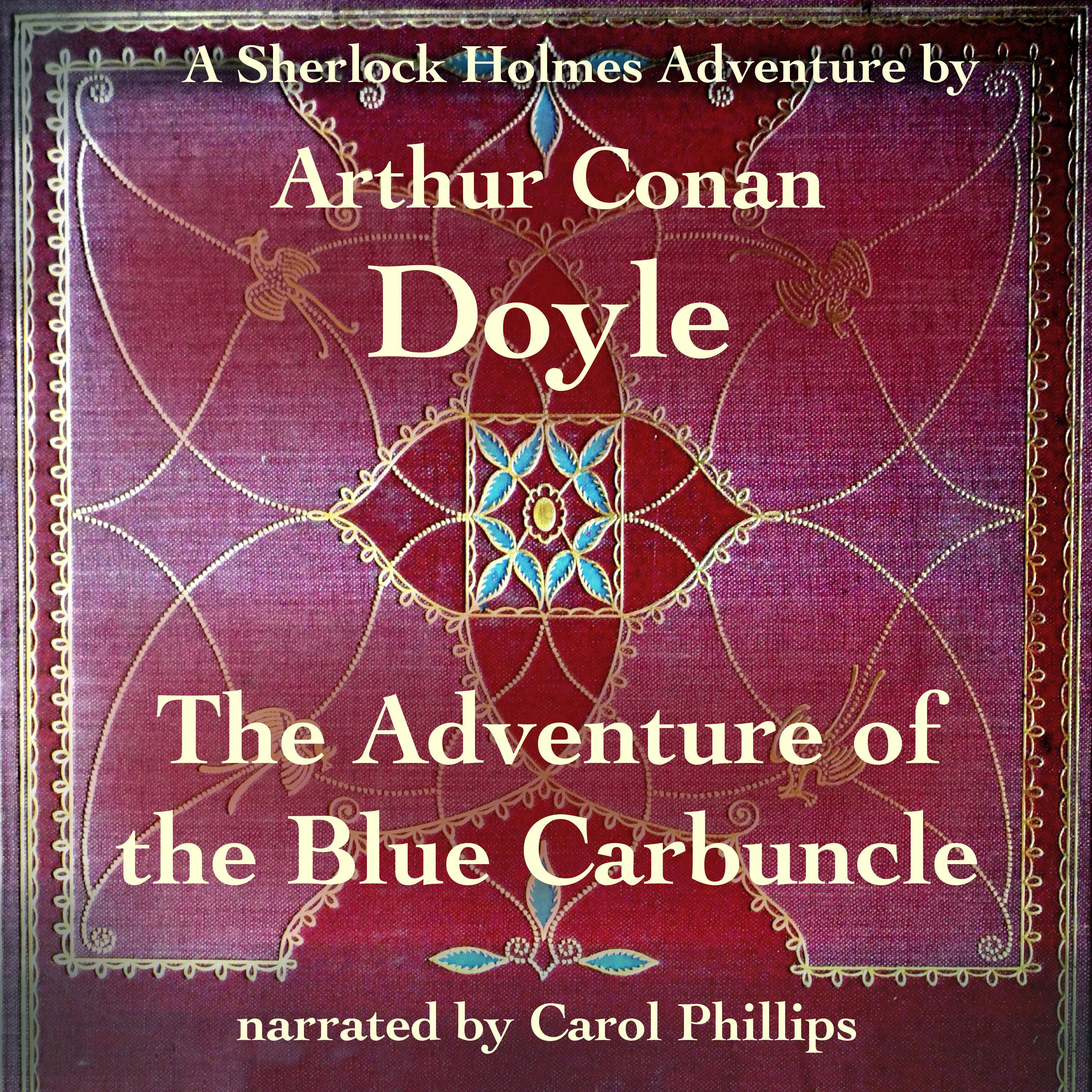 Title: The Adventures of the Blue Bear in a Tie