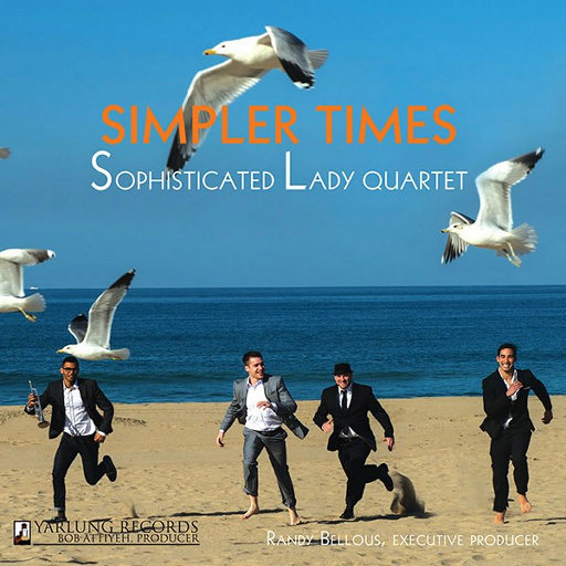Ladies Simple Ties: A Timeless and Elegant Accessory for Every Occasion