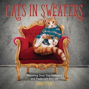 The Cats Necktie and Collar: A Tale of Creativity and Imagination