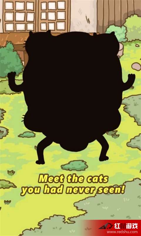 The Fascinating World of Cat Suits: A Visual Journey through the Enchanting Kitten Tie