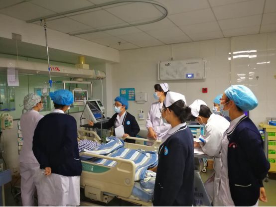 Unveiling the Ingenuity: Agricultural Bank of Chinas Innovative Zipper Ties