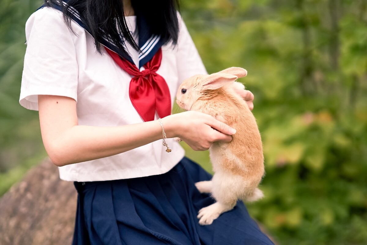 The Unique Charm of Rabbit-Tie JK