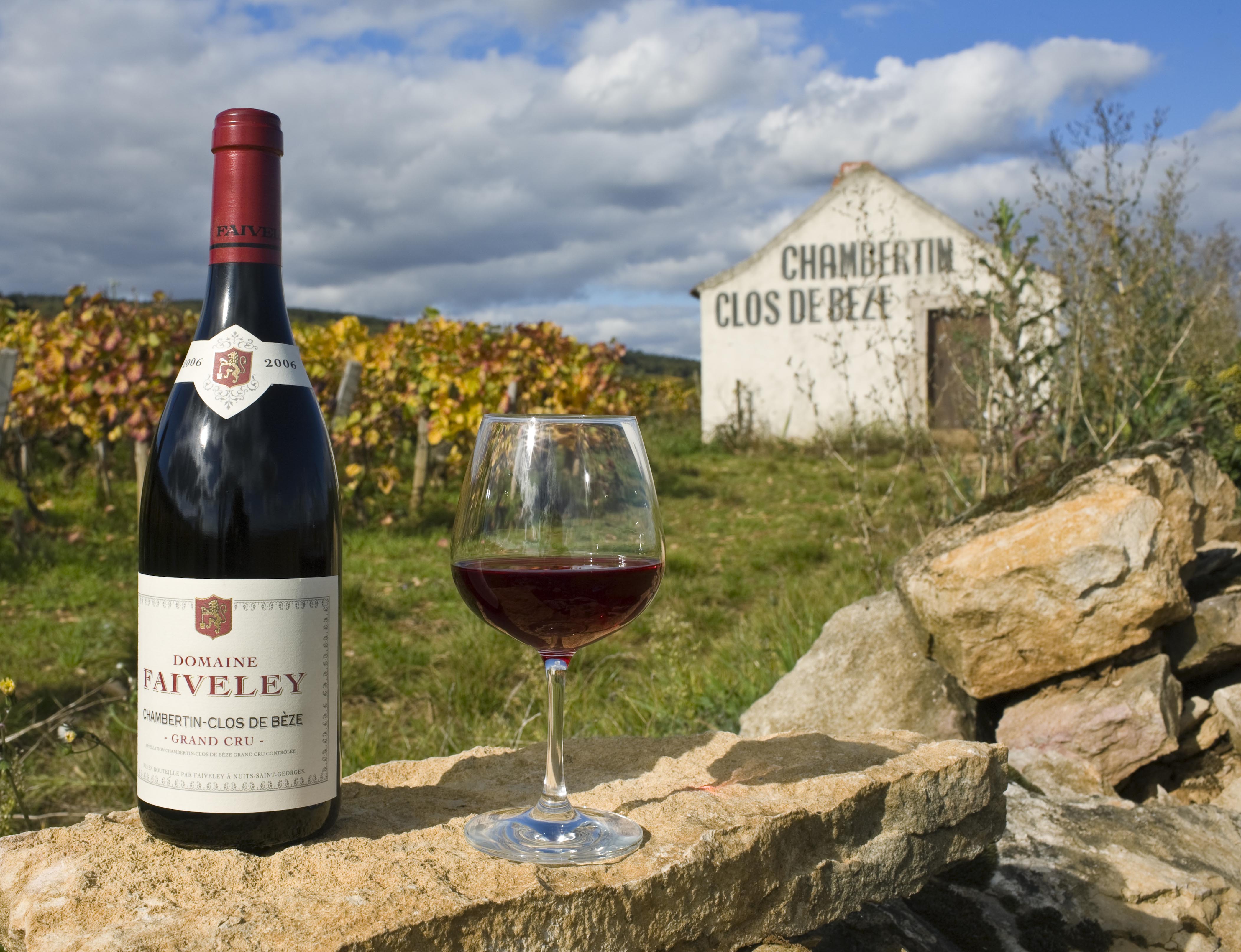 The Unique Charm of Plane Reserves and Red Wine