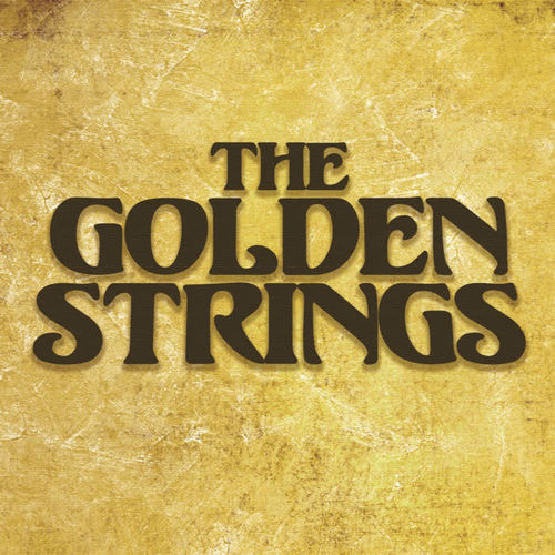 The Name of the Golden High-End Tie Brand