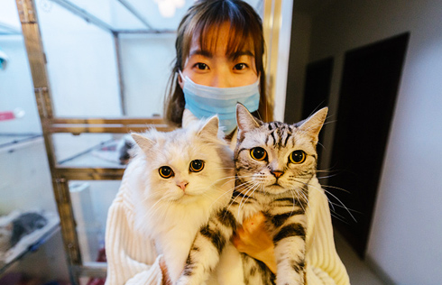 DIY a Collar with a Little Cat