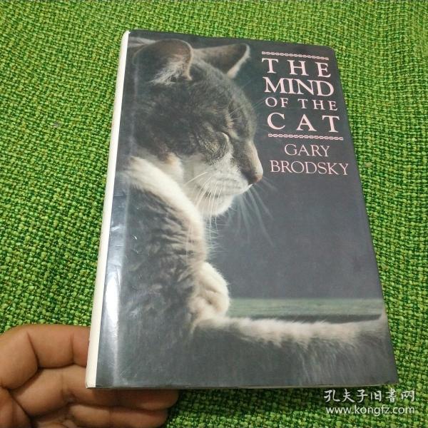 The Unique Charm of Cat Gods Tie
