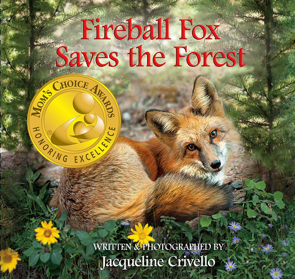 The Story of Foxis Tie