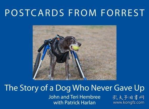 The Story of a Little Dog with a Tie