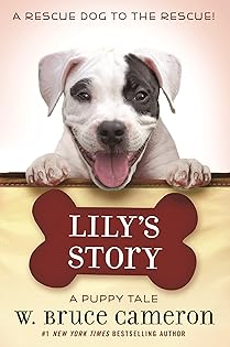 The Story of Little Collar and狗狗