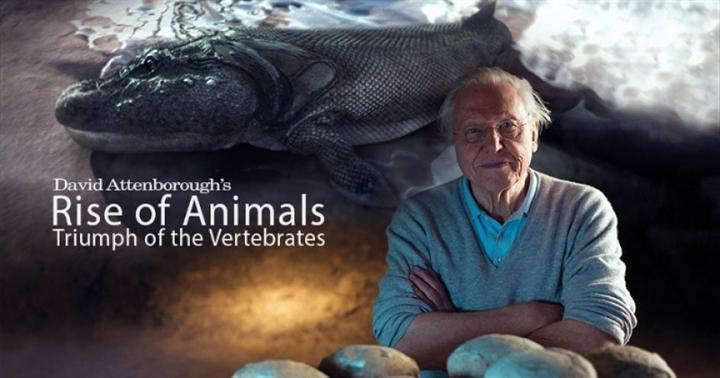 The Rise of Animal纸盒领带，时尚与可持续性的独特融合