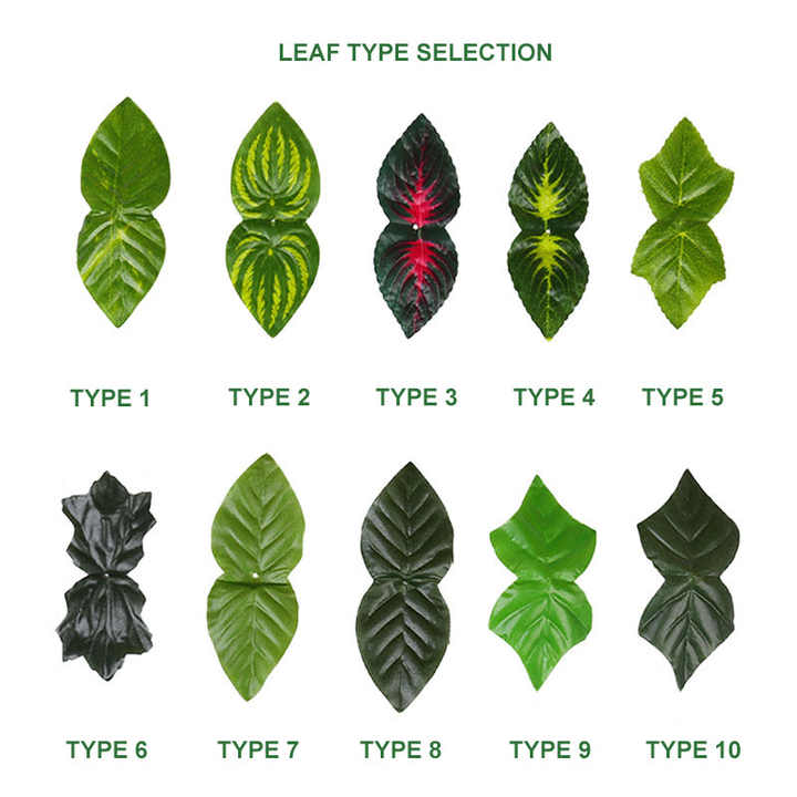 The Story of Double-Leaf Tie