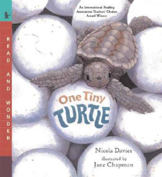 The Unique Story of the Tie Turtle