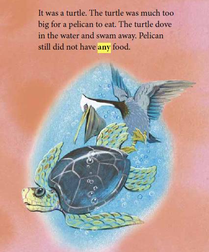 The Unique Story of the Tie Turtle