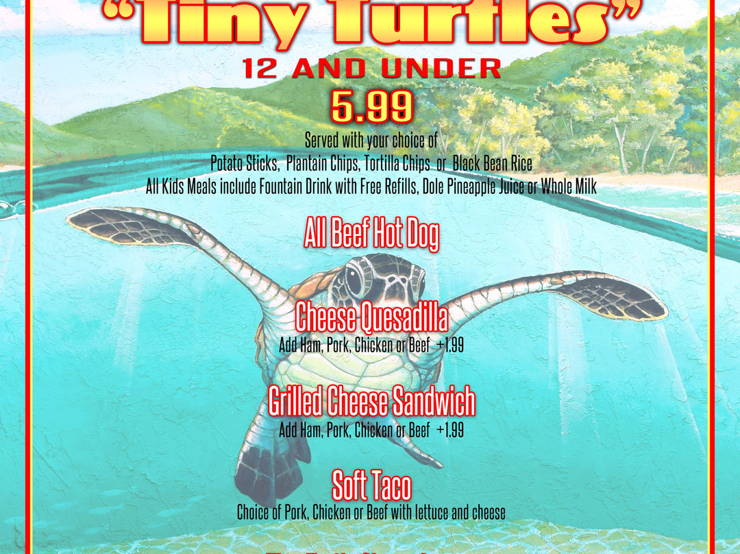 The Unique Story of the Tie Turtle